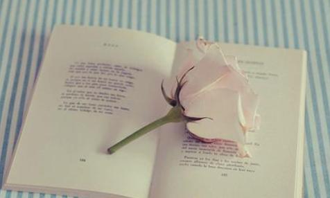 读书是摆脱焦虑的唯一方式,读书是摆脱原生家庭的唯一出路