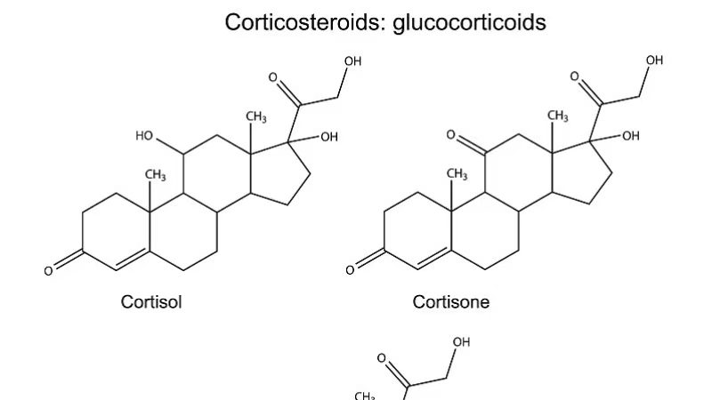 巨阴症是好事吗,巨阴症什么样