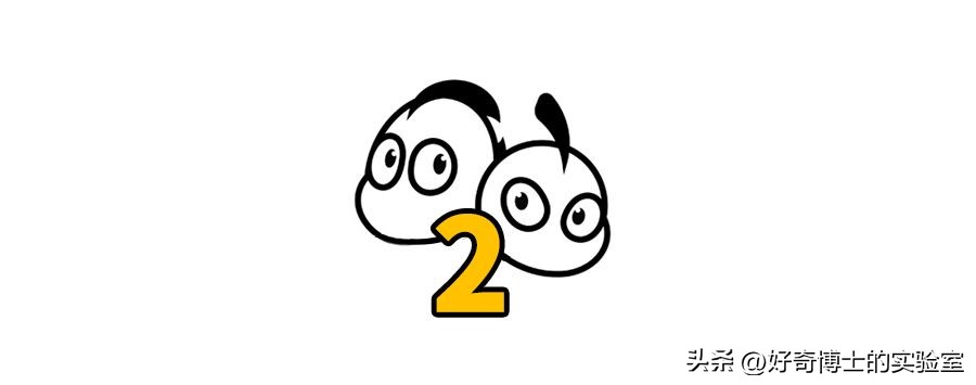 女生穿抹胸为啥不会往下掉？（男生禁入）