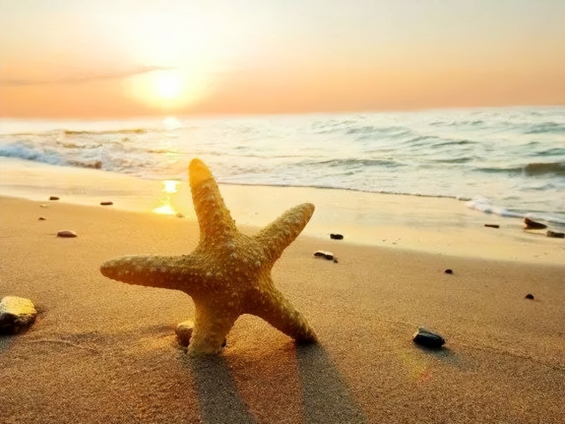 网瘾戒除中心、精神科医院和心理咨询，你怎么选择？