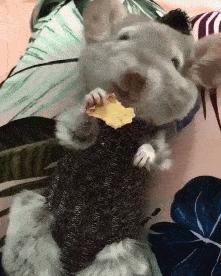 女友今年都二十三了，还是这样，是不是没救了哈哈哈好尴尬