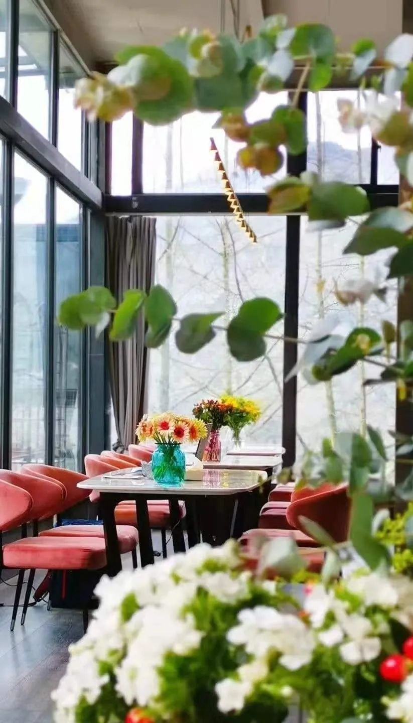 又见花开都江堰完整版,又见花开都江堰