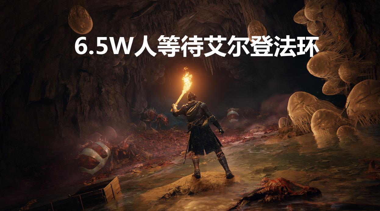 6.5W人等待艾尔登法环,魂小将的“批”式发言引争议,附截图