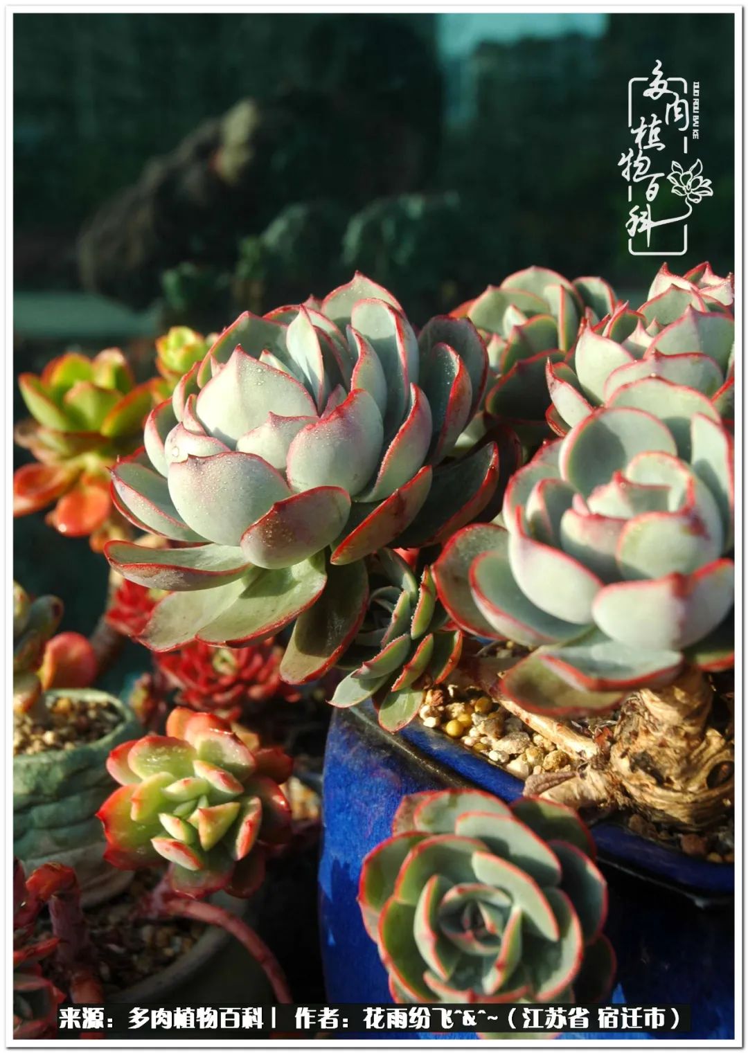 快乐的童年时光视频,回味快乐的童年美好的时光