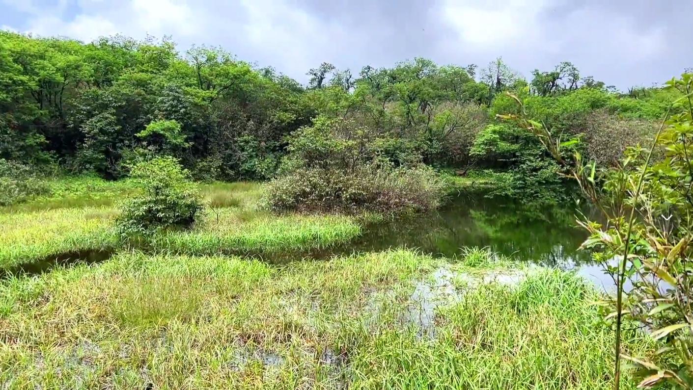广西神秘天池水有多深,都匀斗篷山山顶有天池