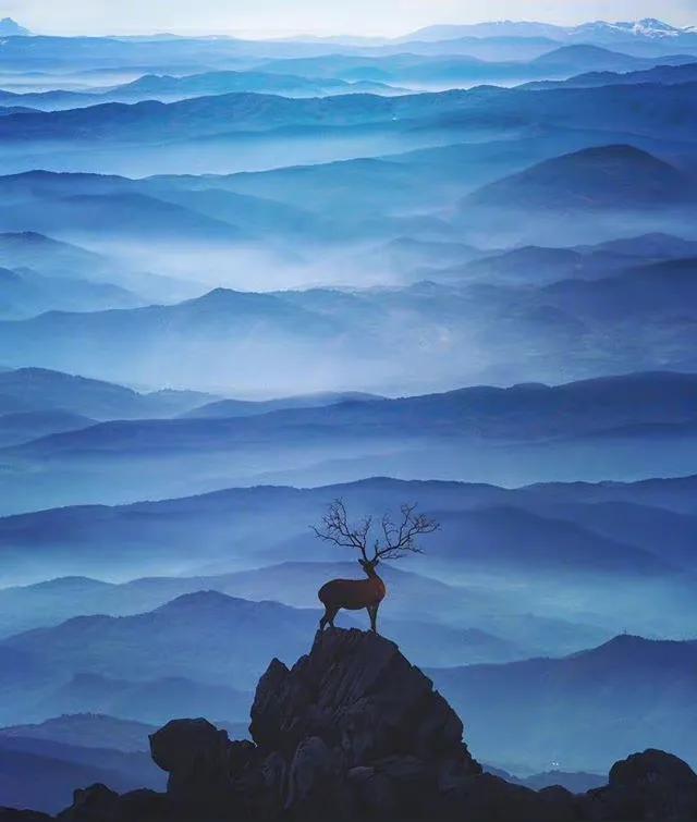 怎样面对说话打击你的人,对付说小话的人该怎么对付