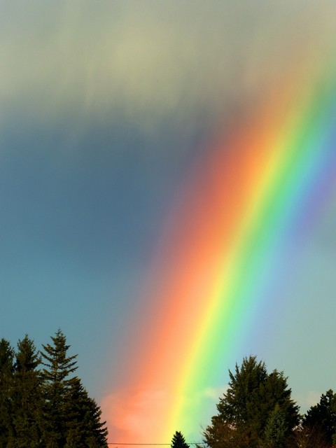 彩虹的尽头是对你的思念,彩虹的尽头是圆满的