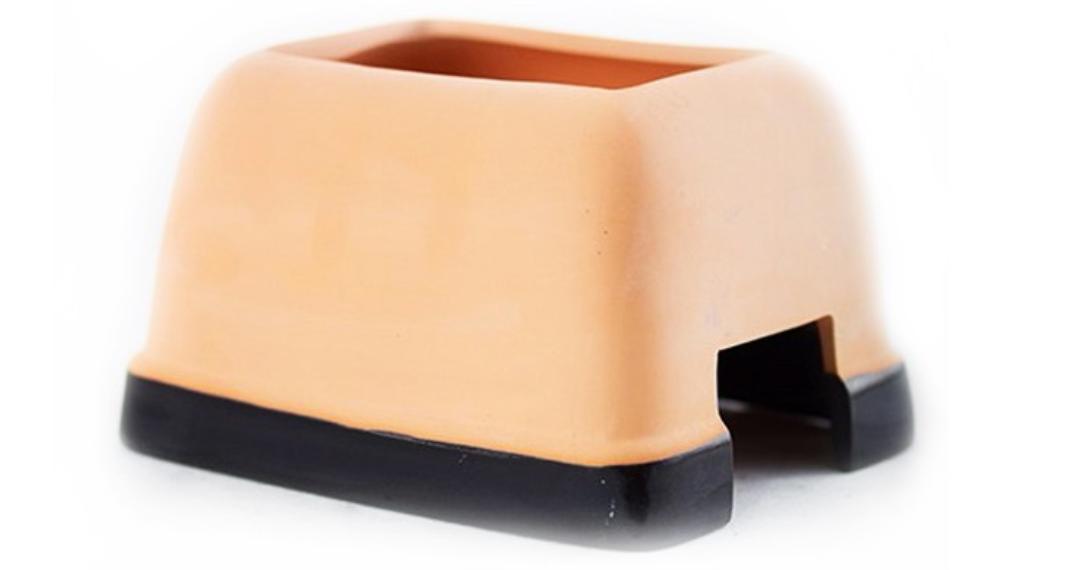 卡皮、隆背、疑似感冒...我的爬宠怎么了？