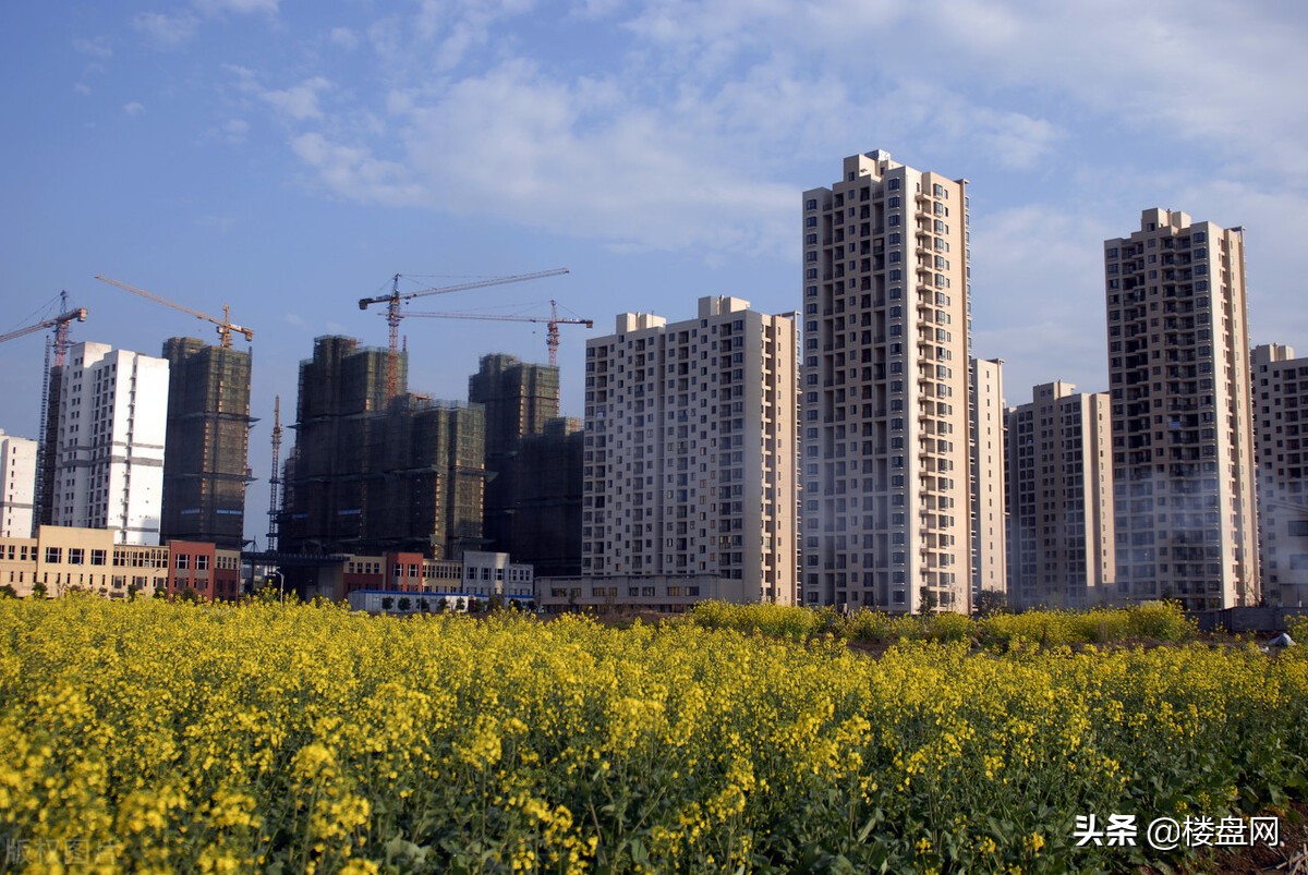 未来几年县城的房价会跌吗,2022年石家庄房价还会继续下跌吗