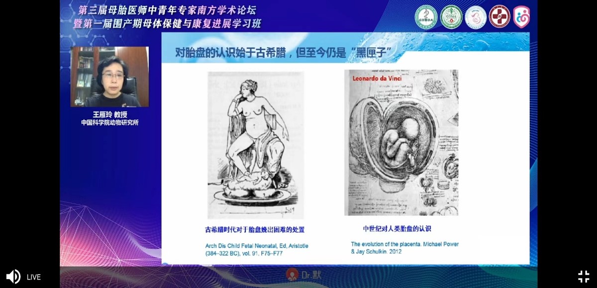 母胎医师中青年专家南方学术研讨会暨围产期母体保健康复进展会议