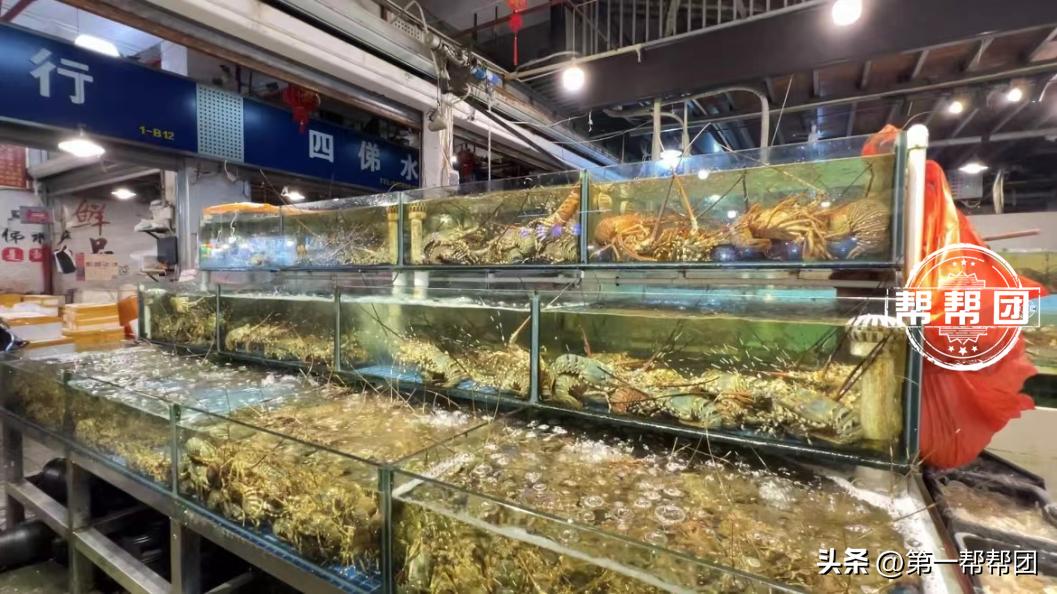 五一假期来福州,五一福州热门景点出行攻略