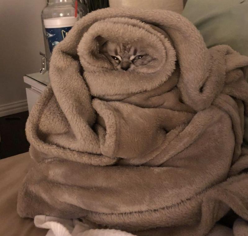 欧洲人买爆中国电热毯！工厂连夜加班，网友爆笑：狠赚一笔哈哈哈