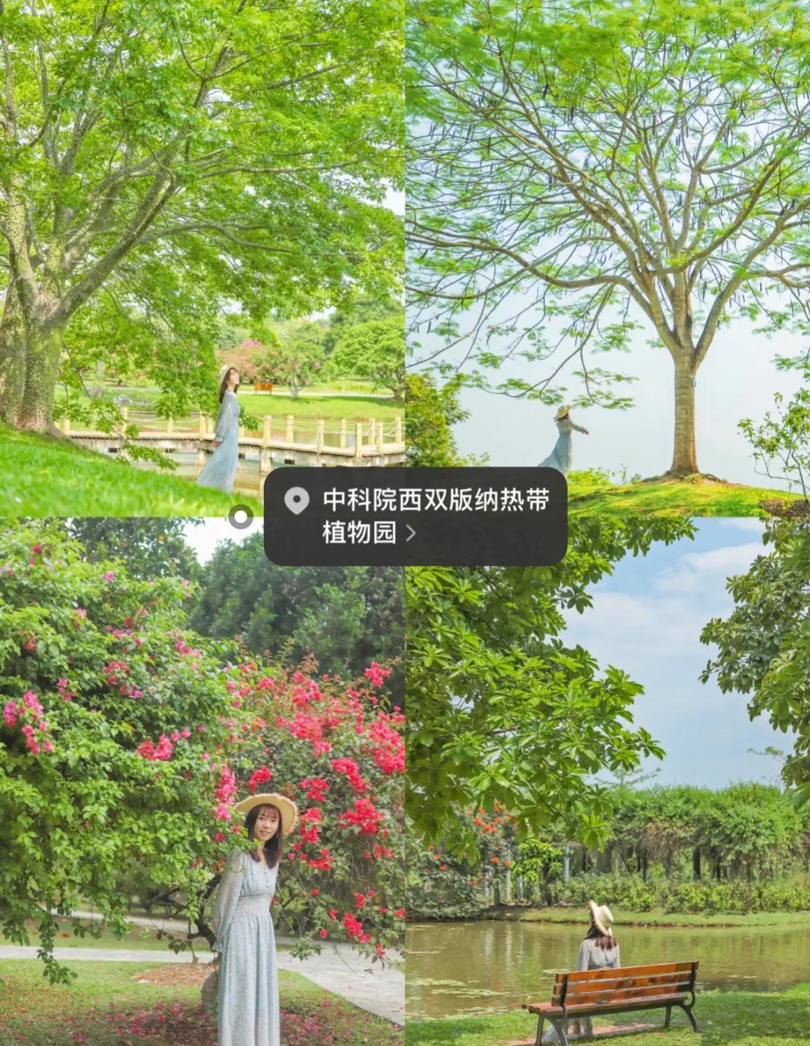 昆明西双版纳自由行攻略详细地图,昆明坐高铁到西双版纳自由行攻略