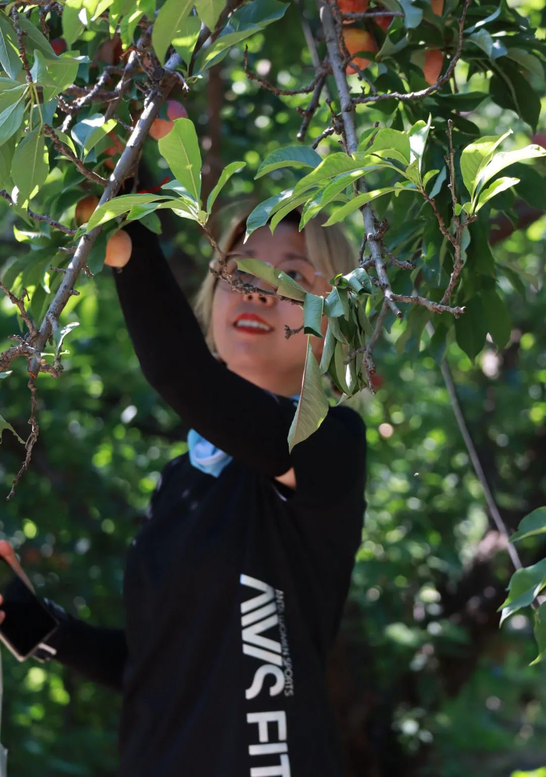 冬季天津户外徒步路线推荐,天津春天亲子徒步旅游路线推荐