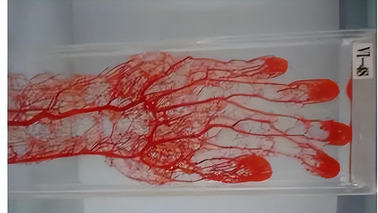 35岁男子坚持吃维生素C，后来怎么样了？医生：安全服用，牢记3点