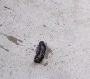 男孩喝生水取出蚂蟥,云南5岁男孩取出蚂蝗