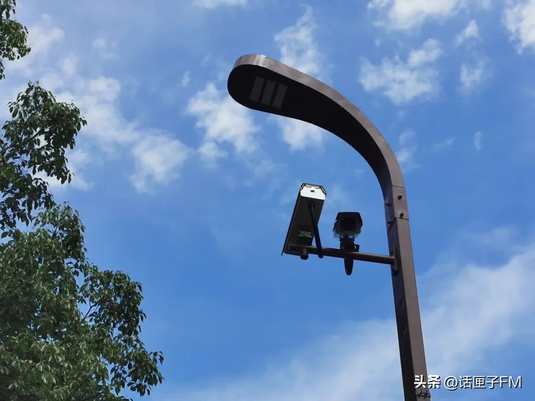 “赵”亮梦想,“巷”往成功,6000年崧泽水土之上,数字干线蓄势待发