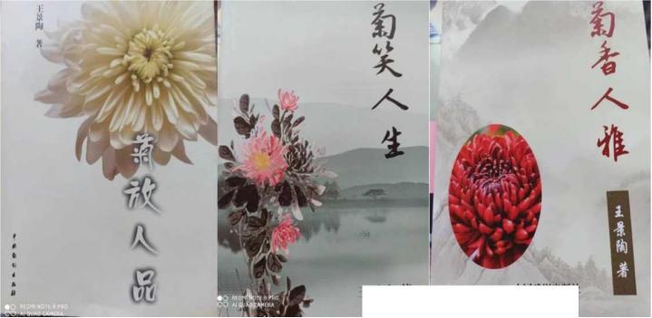 八字真经完整版,八字真经的意义