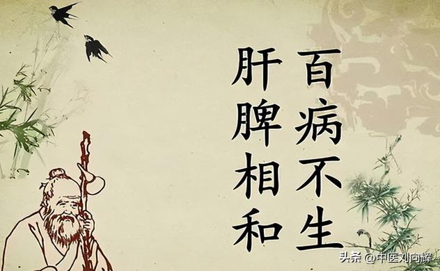 调肝解郁中成药,补脾又调肝记住4味药