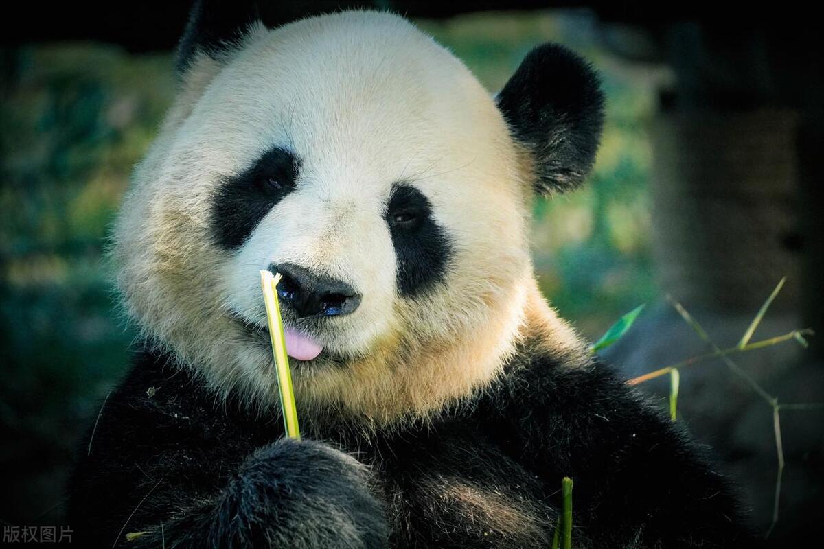 上海金山十大旅游景点,上海古镇十大必去景点