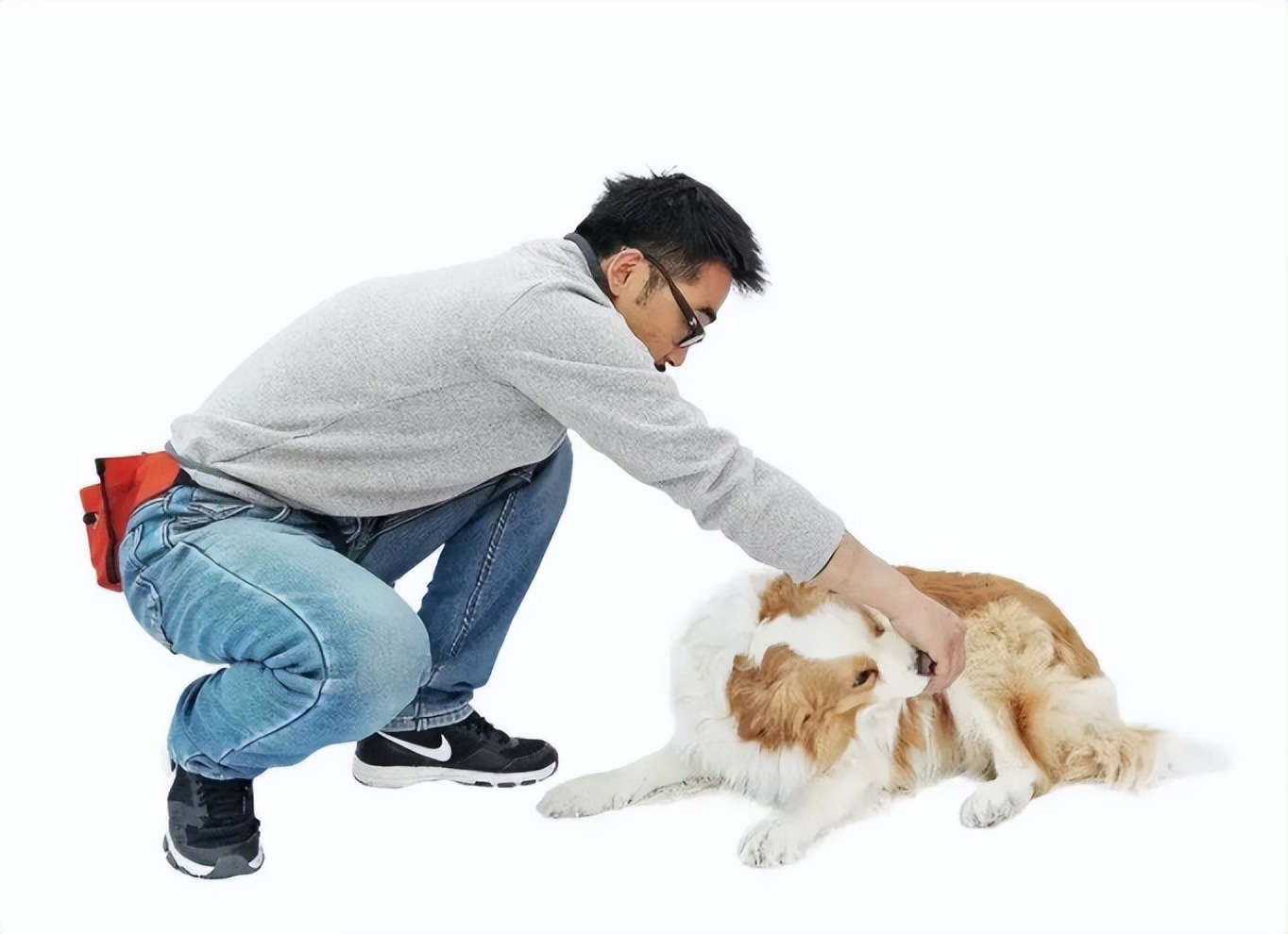 狗狗跳起来扑主人是什么意思,狗狗兴奋扑人要怎么让它冷静