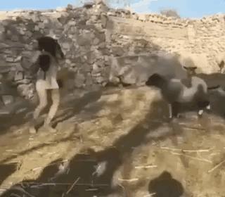 误发给女房东的微信,给老婆发短信误发给了女房东