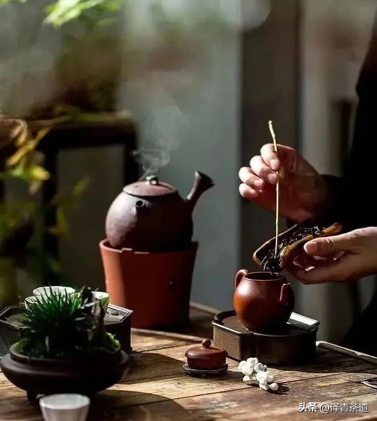 中国茶叶第一产茶大省,陕西中国茶叶第一大省