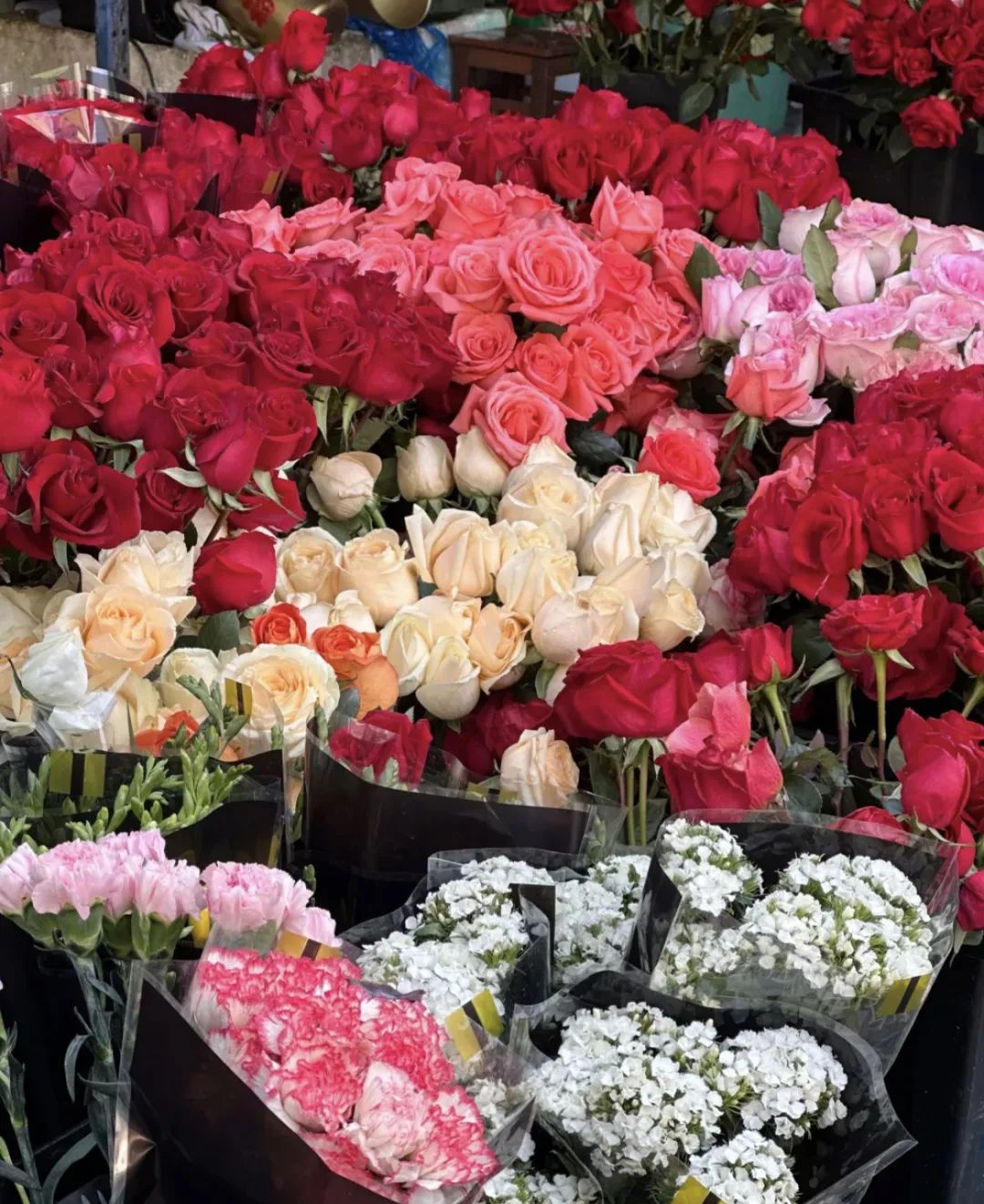 女神节将至这份礼包请收好,女神节优惠第一波来了快收好