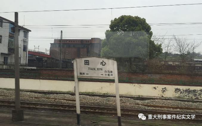 寒门孝子事件,孝子杀母最新结果