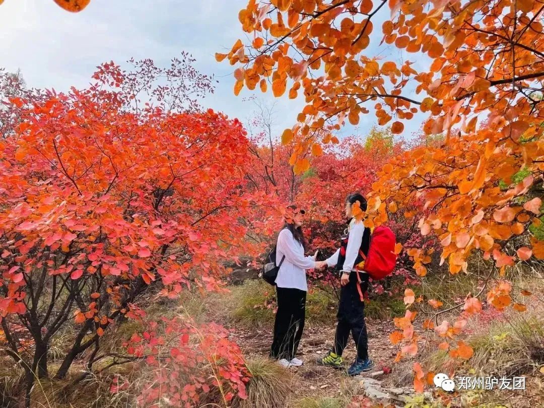 郑州最近赏红叶最佳的地方,靳家岭红叶和长寿山红叶哪个好看