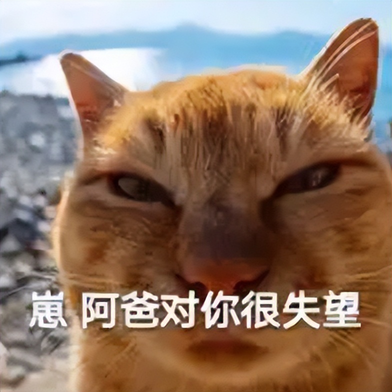 世界杯冠军首场翻车,世界杯输球过程