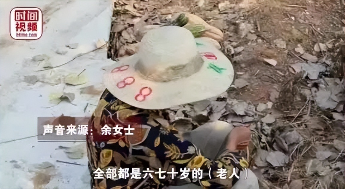 女大学生回乡创业被老人偷,大学生回农村创业被老人偷