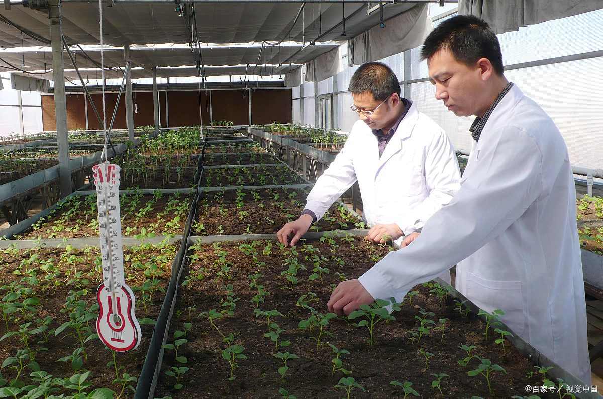 农民专业合作社农业产业发展,新时代农村合作社发展的思路