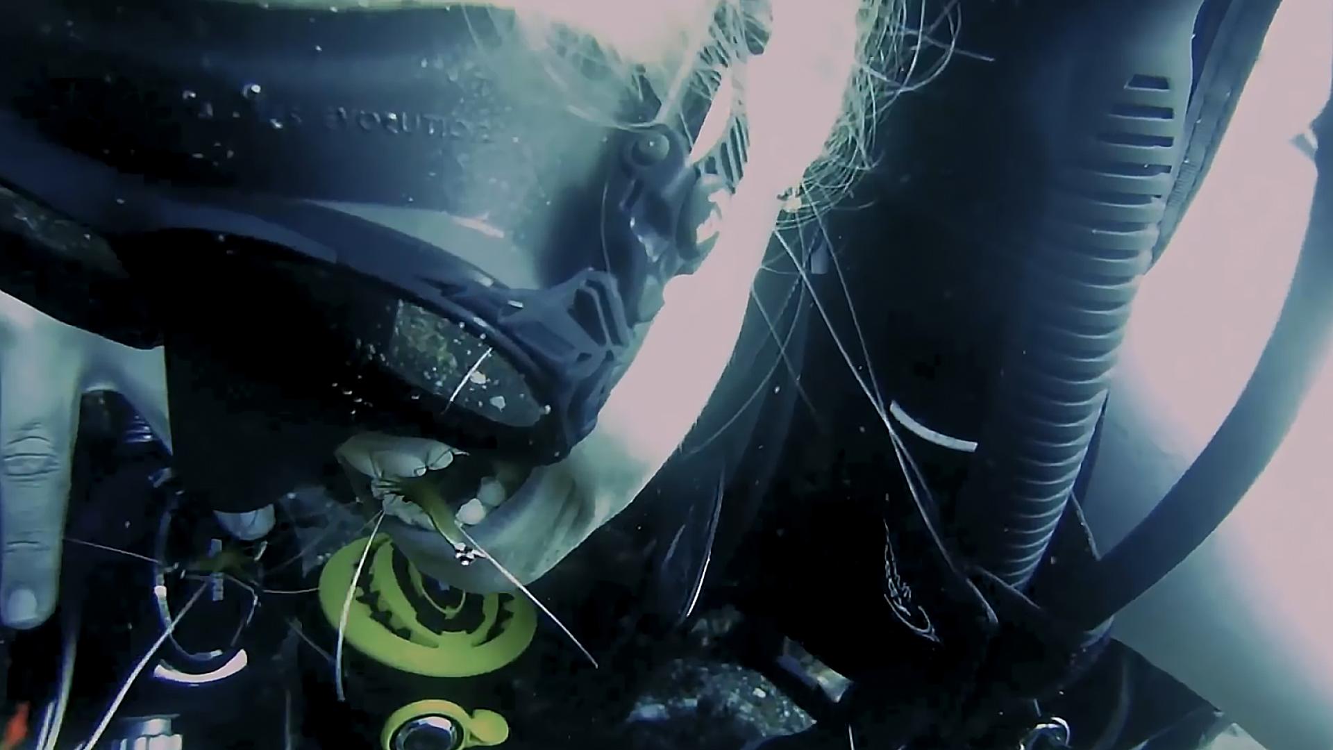 足疗店的小鱼最后去了哪儿,足疗店的小鱼能吃吗