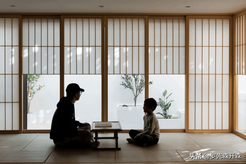 猫猫避难猫窝,猫猫居住小窝