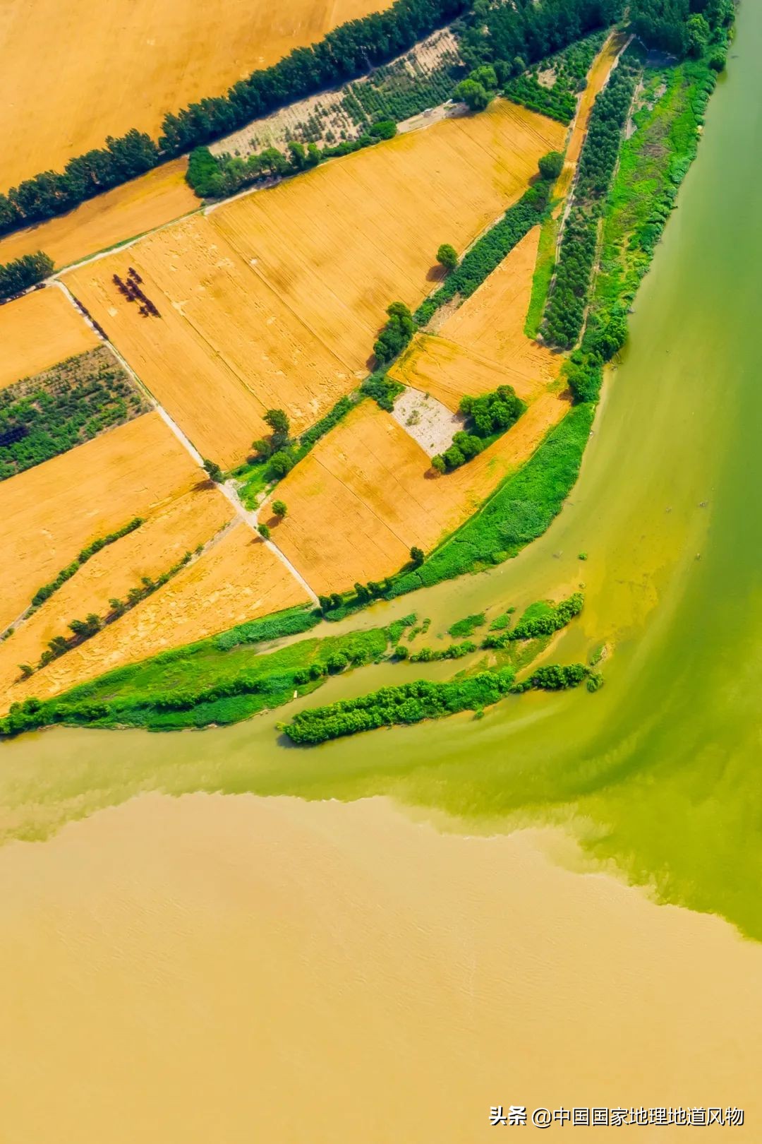 中国方便面市场份额图,全国各地方便面图鉴