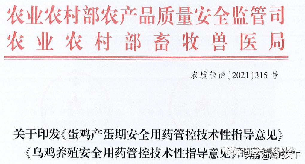 农业领域安全生产工作实施意见,蛋鸡产蛋期消毒药