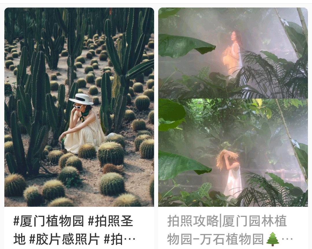 厦门旅游攻略：探寻中山路、曾厝垵、植物园，揭秘火山岛之美