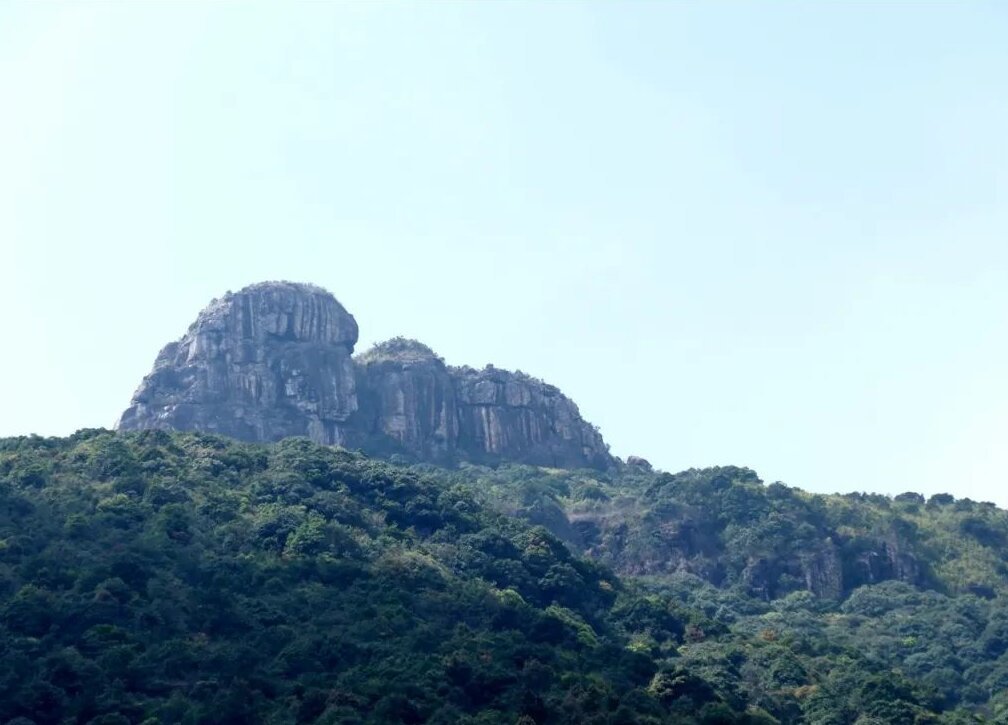 我被入坑了,也给各位科普一下吧