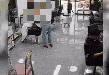 叫价10元1斤，杀一头净赚几千元！为何野猪泛滥还是控制不住？