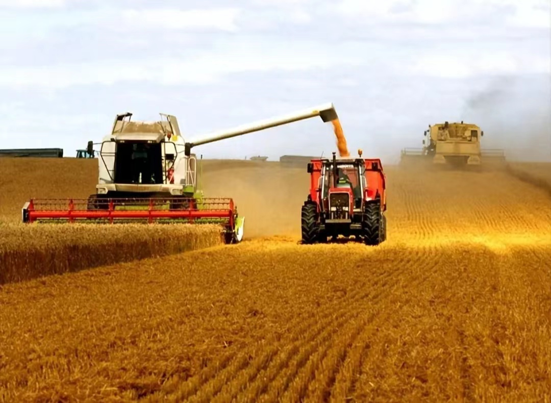 我们连年满车满船地从海外买粮食，中国的饭碗还能端得稳吗？