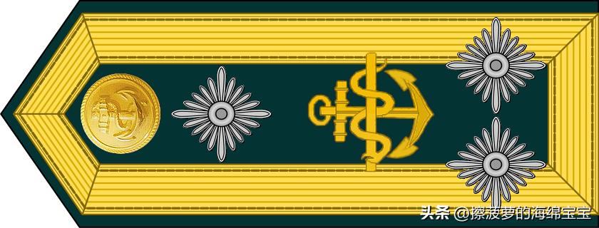 二战德国国防军医疗兵军衔标志