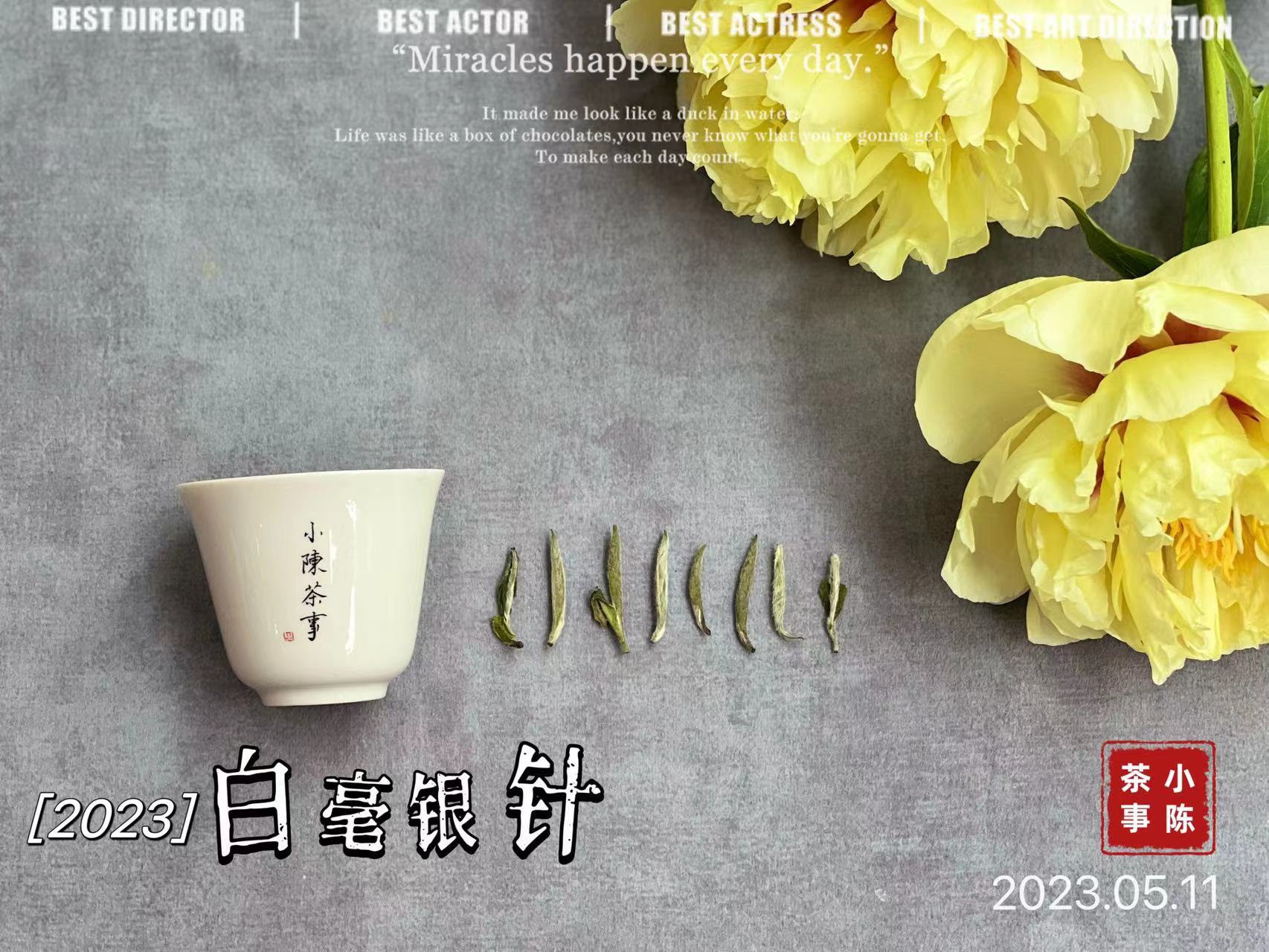 1斤白茶要多少斤青茶,一斤白茶需多少茶青