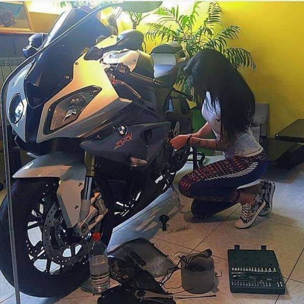 100个难得一见照片，砍伐巨树，运输军舰的巨轮，治疗风湿病的熊