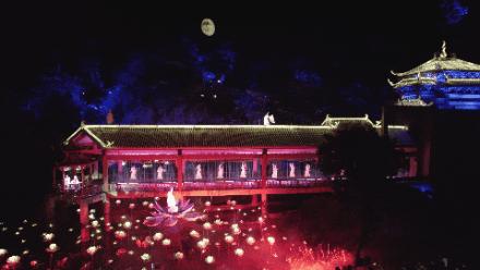 小暑已至！夏日顶流登场，一池荷风，满院莲香，惊艳了整个夏天！