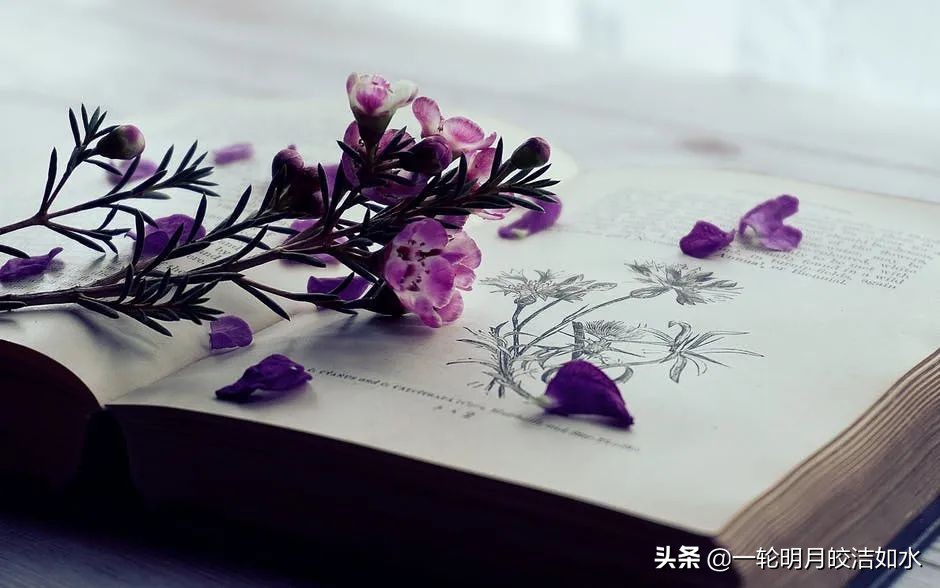 100句经典名言最好的写作素材,100句经典名言俞敏洪