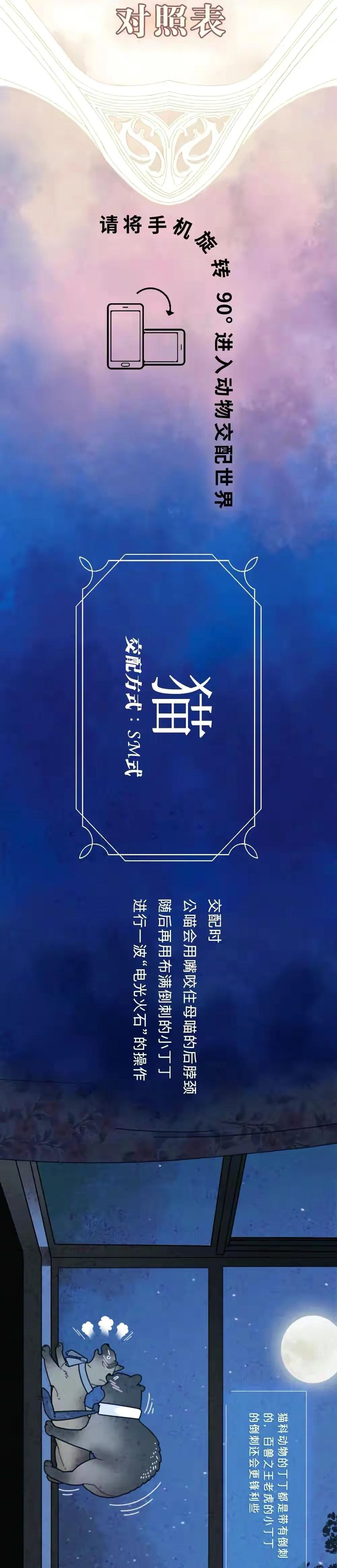 海陆空动物交配姿势对照表（严肃正经版）