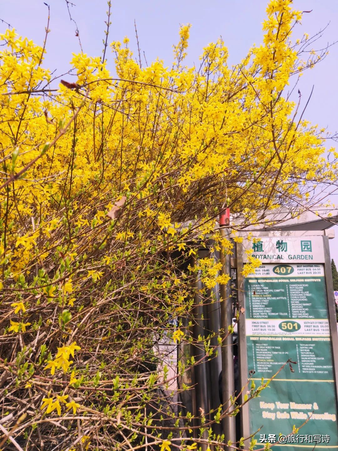 大连十大网红打卡圣地一网打尽,大连新晋网红打卡地东西价格