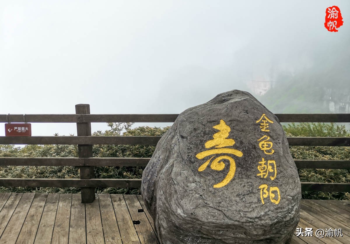 重庆的热门风景好的山,重庆哪座山最适合看城区风景