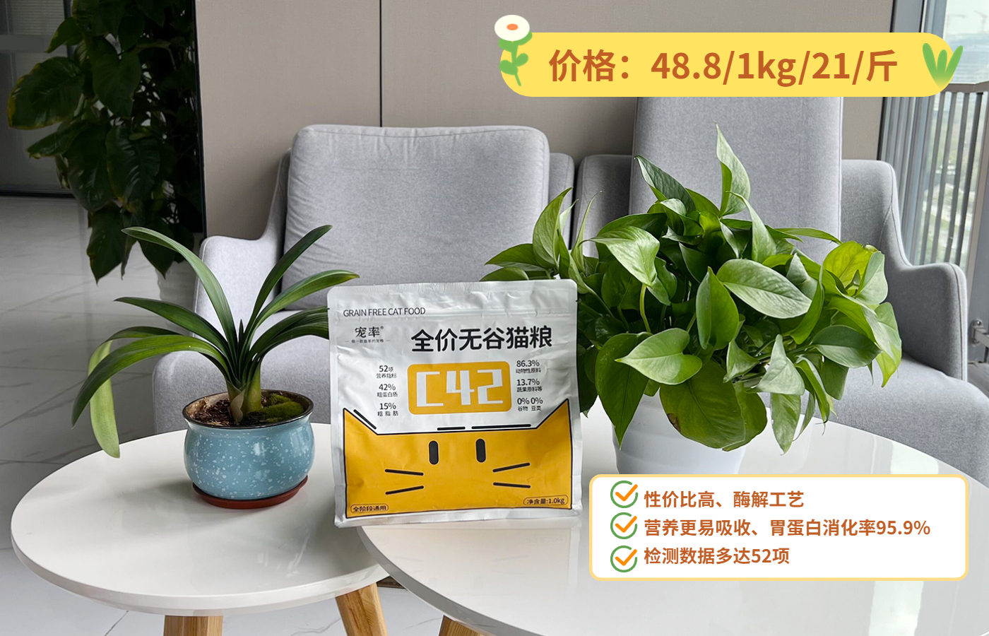 新手养猫的十大建议,新手养猫的十大忠告